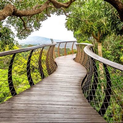 Le Jardin Botanique National de Kirstenbosch: Un havre de paix verdoyant et une explosion de couleurs!