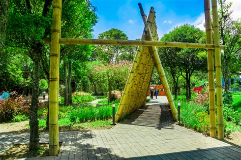 Le Jardin Botanique de Quito: Un Oasis verdoyant au cœur vibrant de la ville !