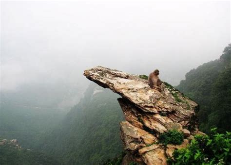 Le Mont Huaguo : Une montagne mystique au cœur de Lianyungang !