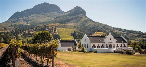 Le Musée de l'Art de Stellenbosch : Un Voyage Vibrant à Travers L'Histoire Sud-Africaine !